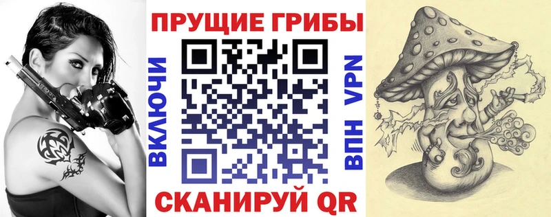 Галлюциногенные грибы MAGIC MUSHROOMS  Ужур 